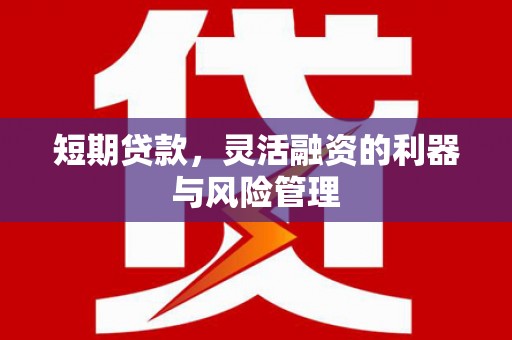 小金短期贷款，灵活融资的利器与风险管理