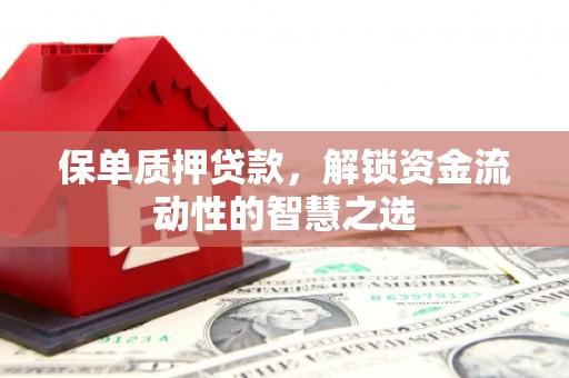 金寨保单质押贷款，解锁资金流动性的智慧之选