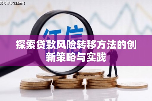 灵宝探索贷款风险转移方法的创新策略与实践